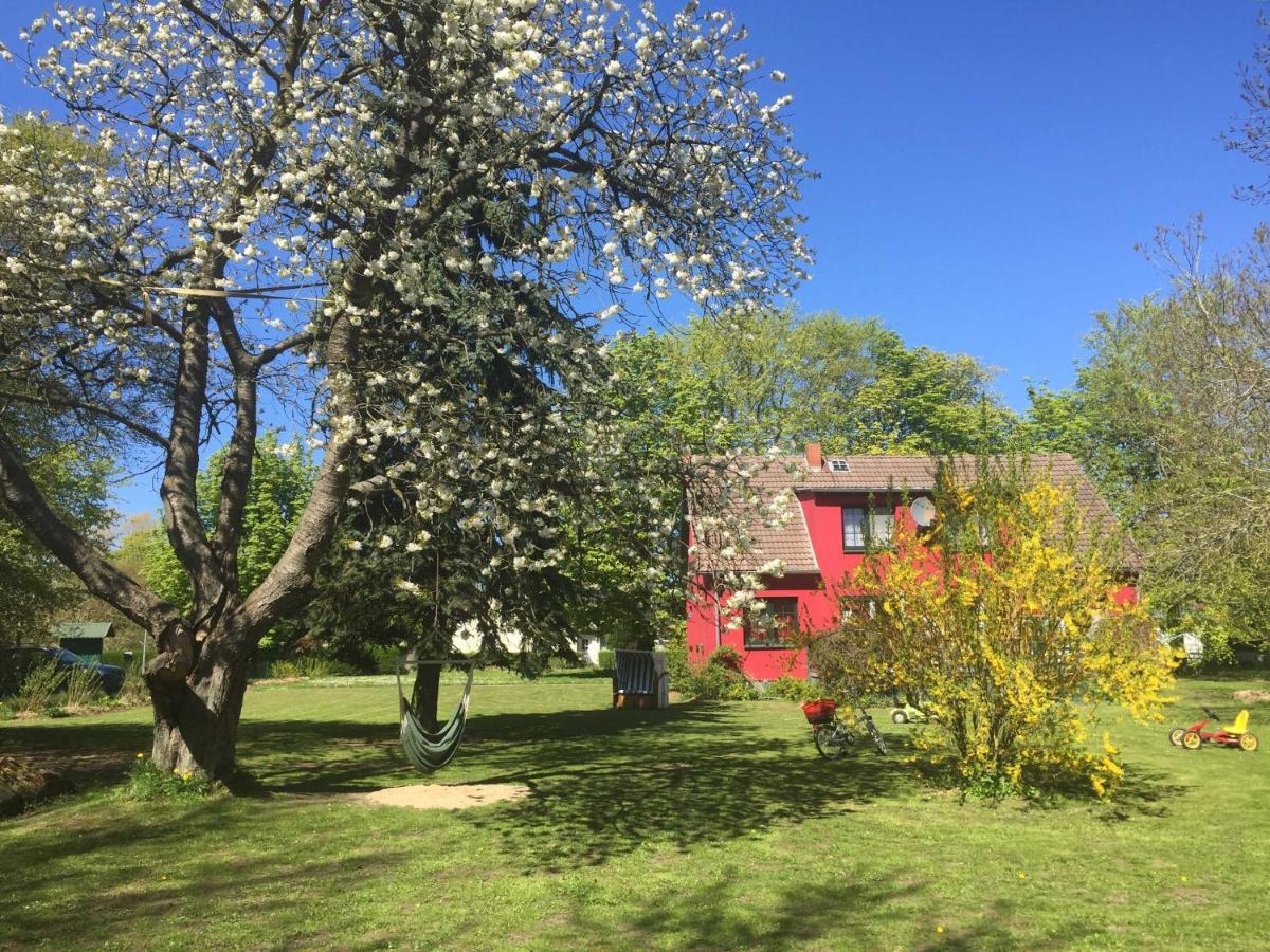 Ferienhaus 1 _ Ferien Im Gutspark Mattchow 외부 사진